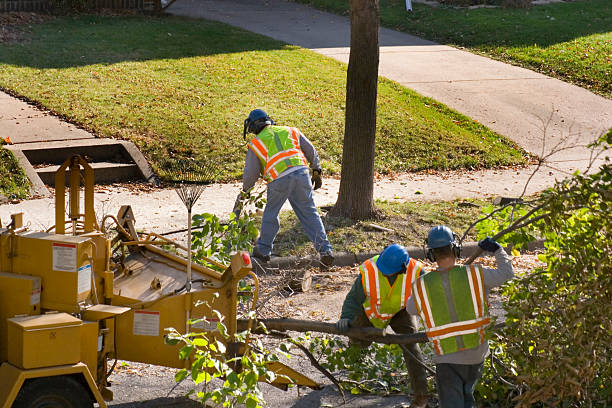 Best Lawn Watering Services  in Lake Meade, PA